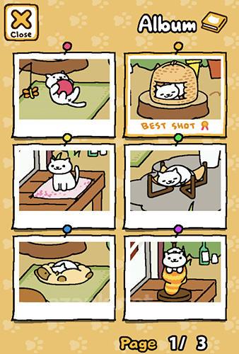 Neko atsume: Kitty collector