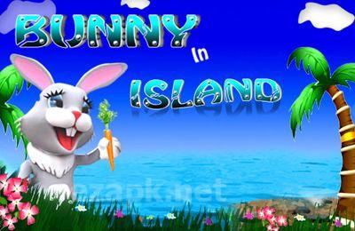 Bunny In Island