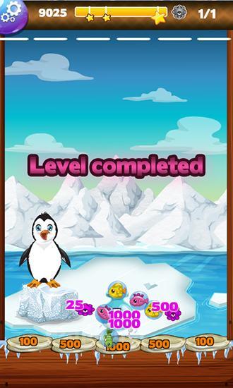 Frozen Antarctic: Penguin