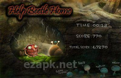 Help Beetle Home