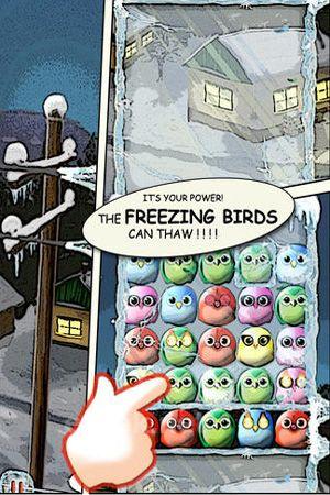 Freezing Bird