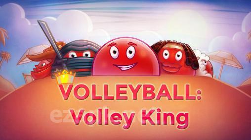 Volleyball: Volley king