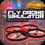 Fly drone simulator extreme