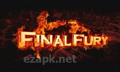 Final Fury