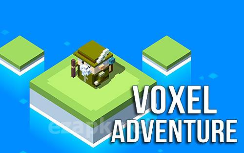 Voxel adventure