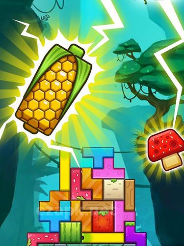 Puzzle stack: Fruit tower blocks game