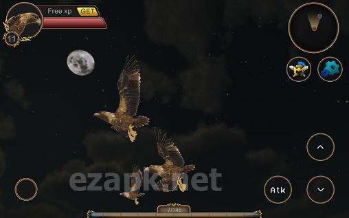 Eagle bird simulator