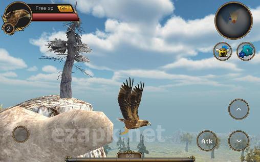 Eagle bird simulator