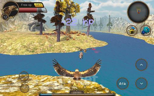 Eagle bird simulator