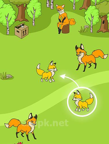 Angry fox evolution: Idle cute clicker tap game