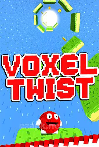 Voxel twist