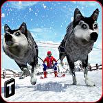 Sled dog racing 2017