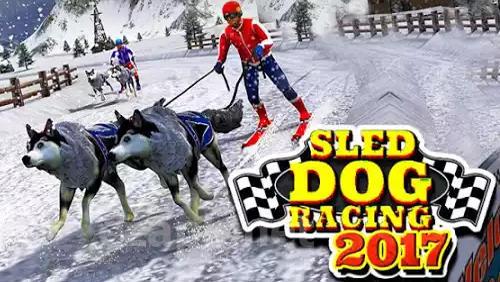 Sled dog racing 2017