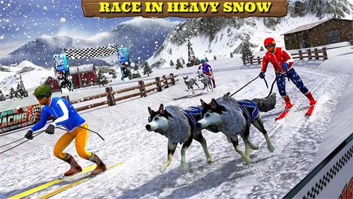 Sled dog racing 2017