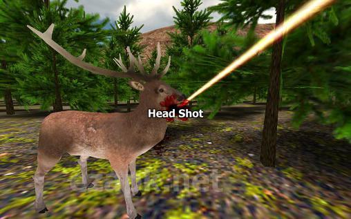 Sniper game: Deer hunting