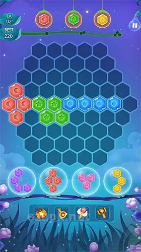 Flower secret: Hexa block puzzle and gems eliminate