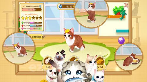 Line cat cafe