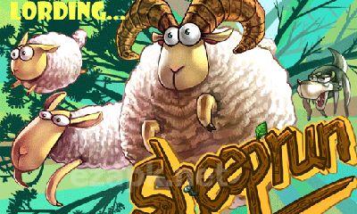 Sheeprun