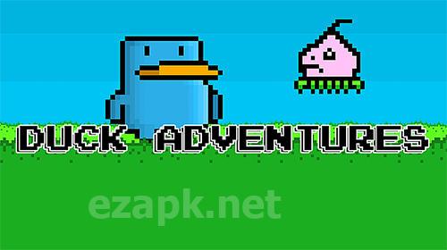 Duck adventures