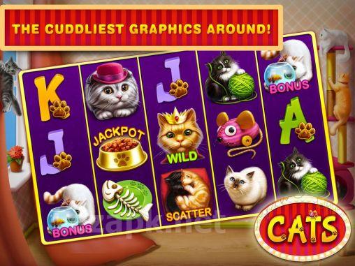 Cats slots: Casino vegas