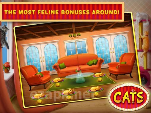 Cats slots: Casino vegas