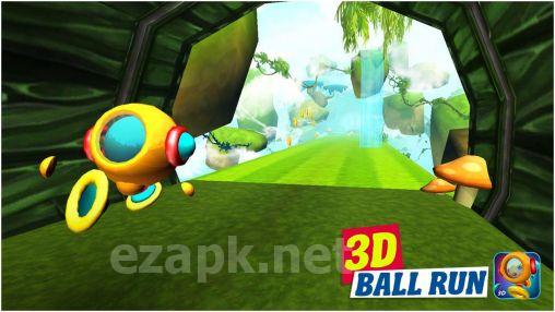 3D ball run