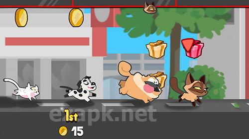 Pets race: Fun multiplayer racing with friends