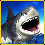 Angry shark: Simulator 3D