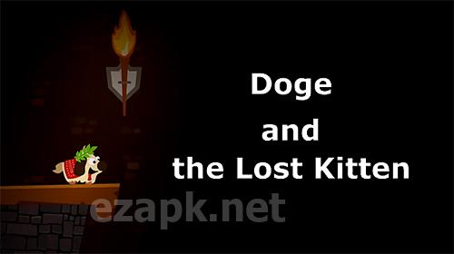 Doge and the lost kitten