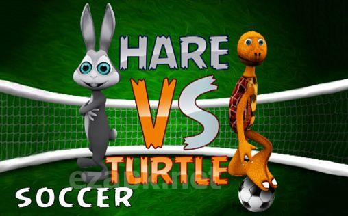 Hare vs turtle soccer