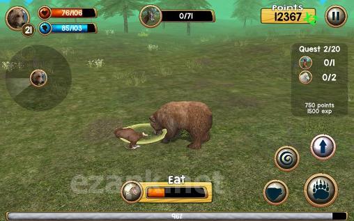 Wild bear simulator 3D