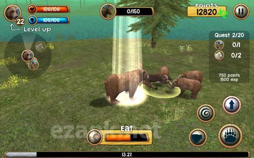 Wild bear simulator 3D