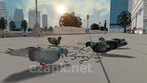 Flying bird pigeon simulator 2