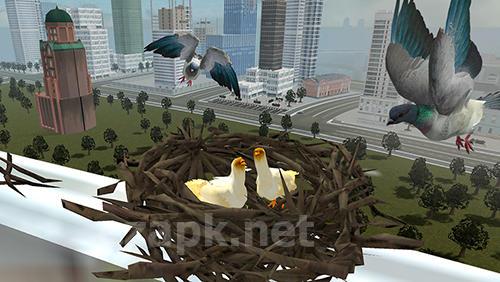 Flying bird pigeon simulator 2