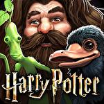 Harry Potter: Hogwarts mystery