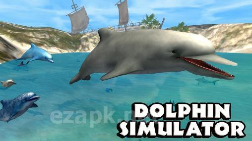 Dolphin simulator