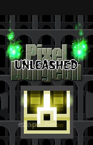 Unleashed pixel dungeon