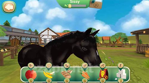 Horse hotel: Care for horses