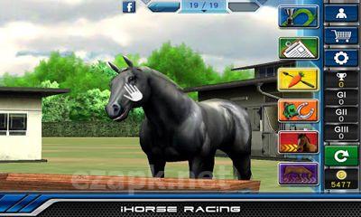iHorse Racing