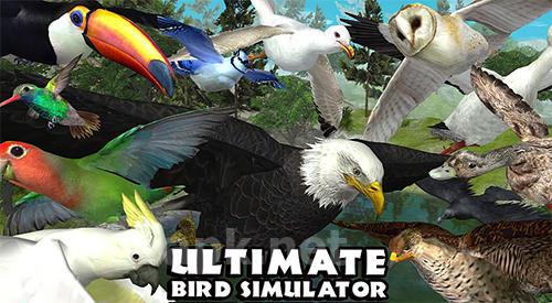 Ultimate bird simulator