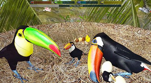 Ultimate bird simulator