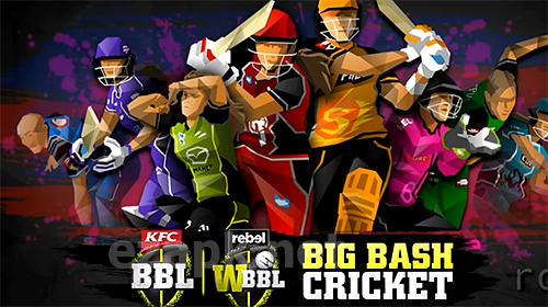 Big bash cricket