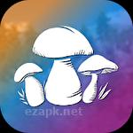 Real mushroom hunting simulator 3D