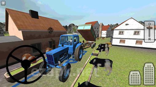 Farming 3D: Feeding cows
