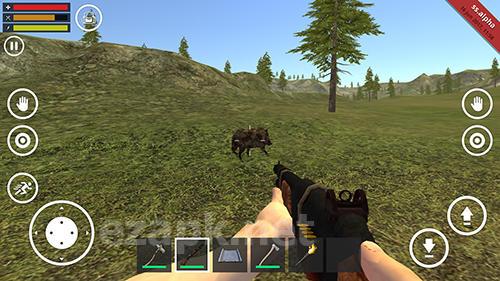 Survival simulator