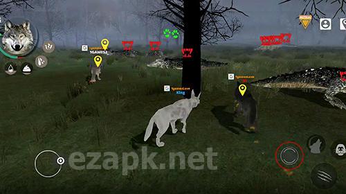 Wolf online 2