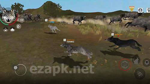 Wolf online 2