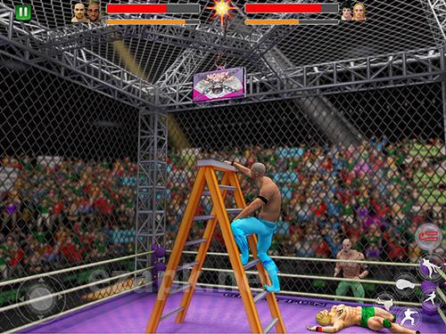 Cage wrestling revolution: Ladder match fighting