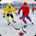 Ice hockey 2019: Classic winter league challenges
