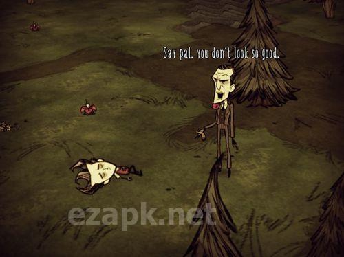 Don't starve: Pocket edition